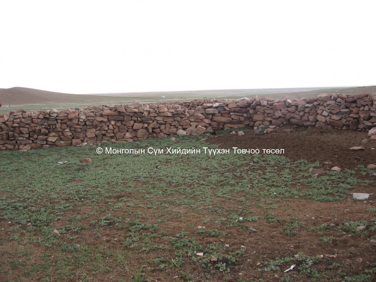 Зүүн талаас авсан